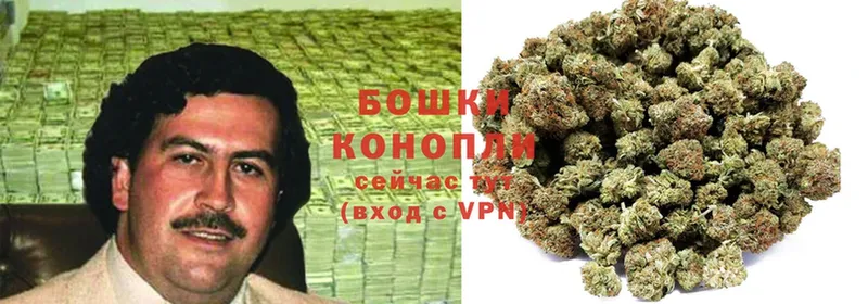 магазин продажи   Шадринск  Шишки марихуана SATIVA & INDICA 